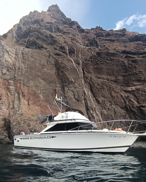 From San Juan beach : Marine Life Cruise - What to Pack for Tenerife Sea Weather