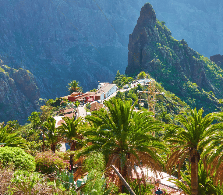 From Santa Cruz de Tenerife: Masca & Garachico Private Trip - Who this tour suits best, and who should look elsewhere