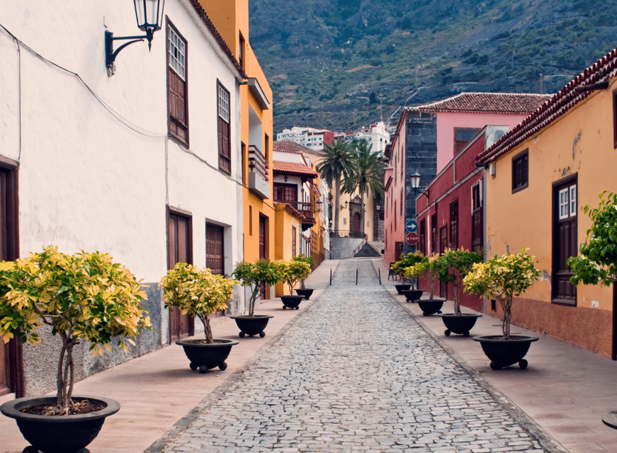 From Santa Cruz de Tenerife: Masca & Garachico Private Trip - Price and value, $115 per person for four major sights in one day