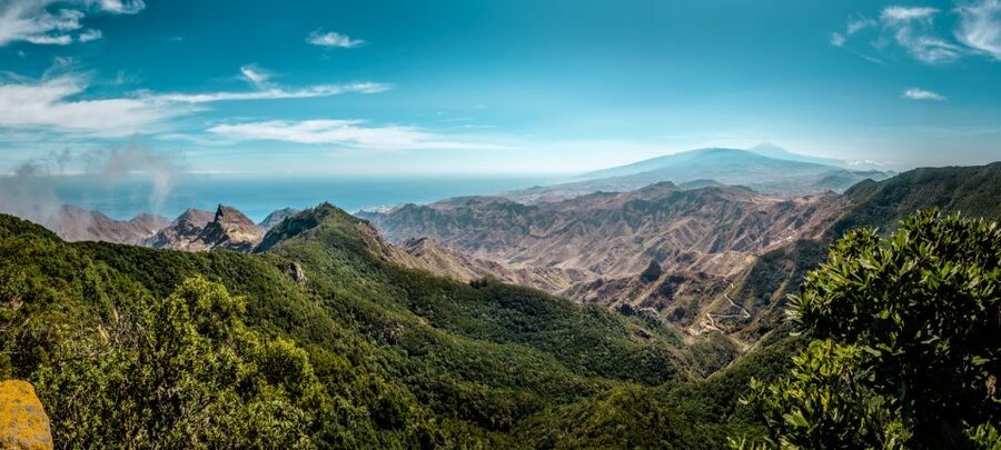 From Santa Cruz: Teide Volcano, Icod, & Garachico Tour - Icod de los Vinos and Drago Milenario Over 1,000 Years Old