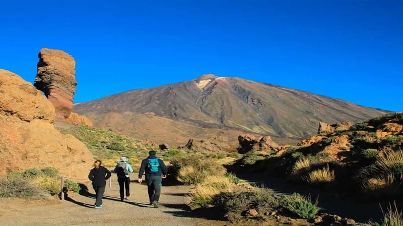 From South Tenerife: Half-Day Tour to Mount Teide - Key things to know before you go