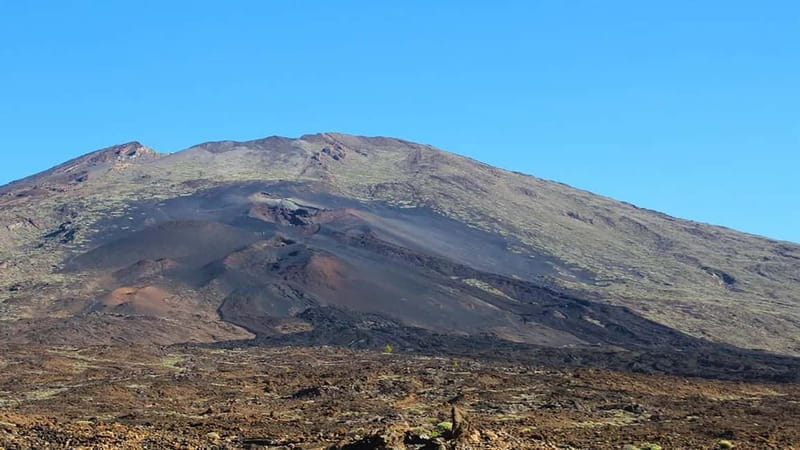 From South Tenerife: Half-Day Tour to Mount Teide - Teide National Park, up close but not exhausting