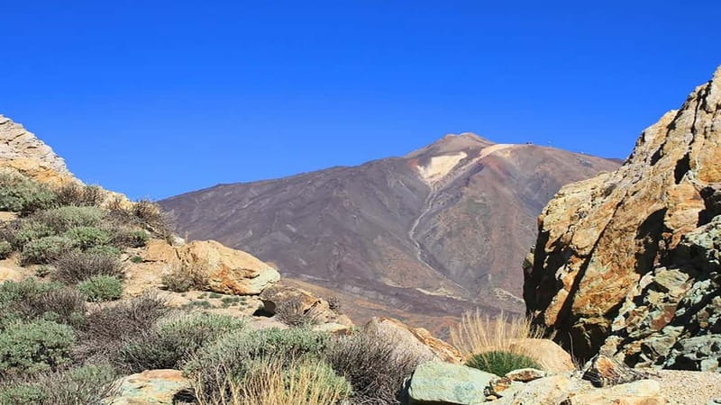 From South Tenerife: Half-Day Tour to Mount Teide - Roques de García at the foot of El Teide