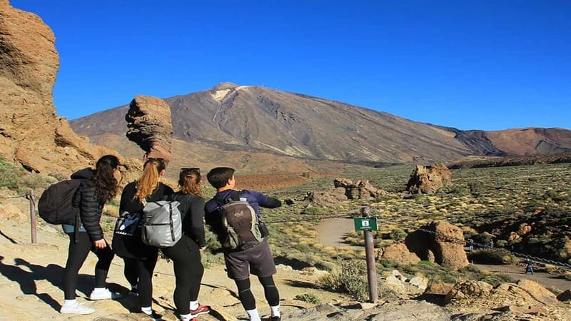 From South Tenerife: Half-Day Tour to Mount Teide - Cable car not included, and that changes the day