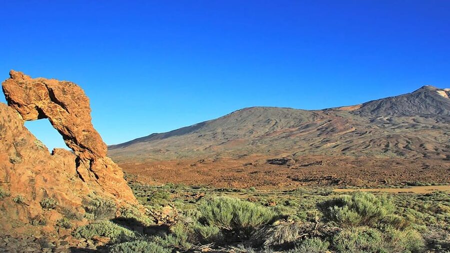 From South Tenerife: Half-Day Tour to Mount Teide - What the $51 price really covers