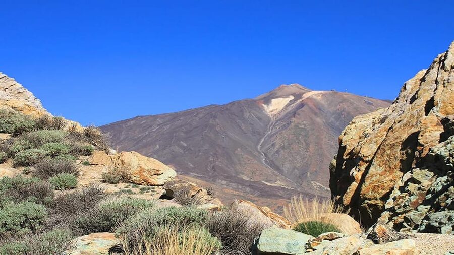 From South Tenerife: Half-Day Tour to Mount Teide - Guide and driver energy, where the tour shines