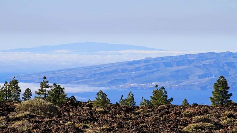 From South Tenerife: Half-Day Tour to Mount Teide - South Tenerife pickup that saves your morning