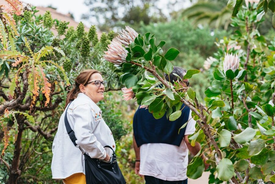 From South Tenerife: La Gomera Island Day Trip with Lunch - Key highlights at a glance