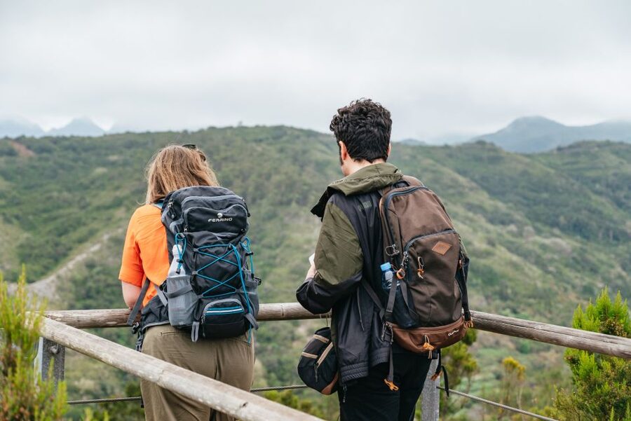 From South Tenerife: La Gomera Island Day Trip with Lunch - A 9-hour La Gomera day trip that runs on ferry timing and mountain roads