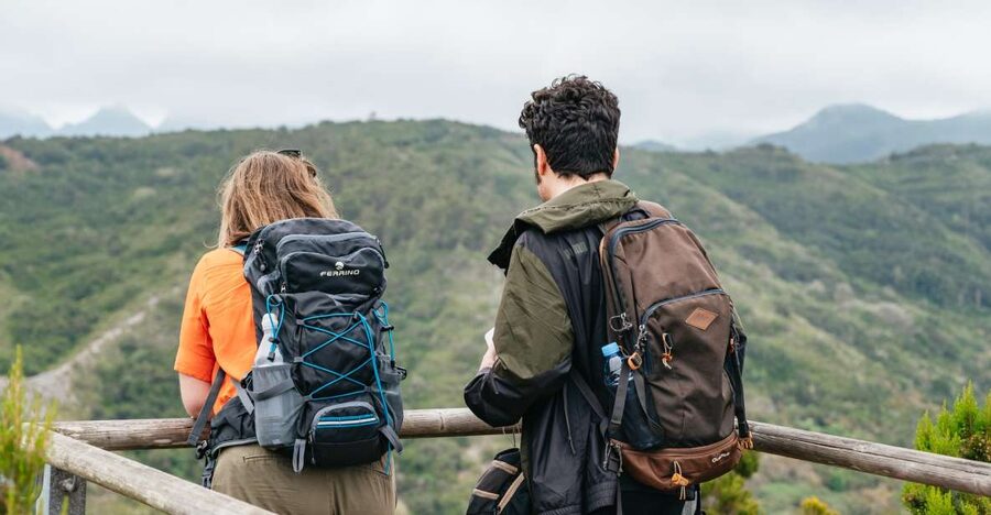 From South Tenerife: La Gomera Island Day Trip with Lunch - El Cedro forest and Garajonay National Park, where the air feels different
