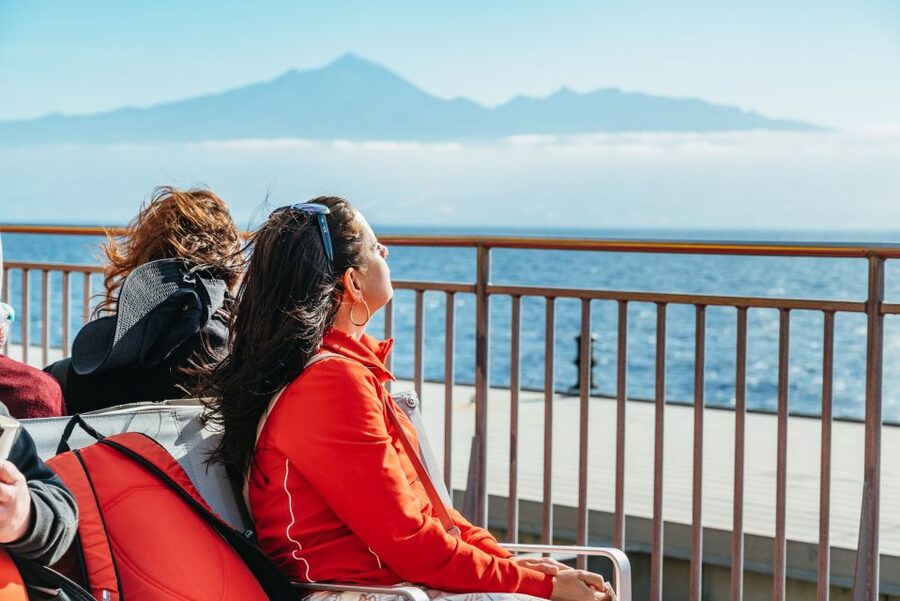 From South Tenerife: La Gomera Island Day Trip with Lunch - Chipude and El Cercado, view stops that keep the drive worth it