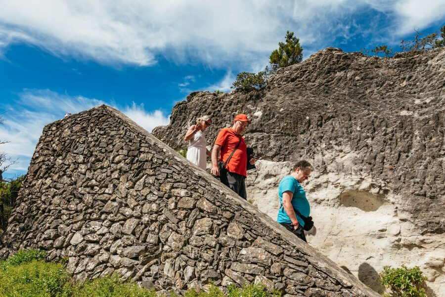 From South Tenerife: La Gomera Island Day Trip with Lunch - Value for $124: what you are really paying for