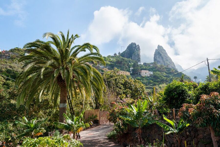 From South Tenerife: La Gomera Island Day Trip with Lunch - Who should book this tour, and who should skip it