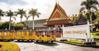 Loro Park Zoo Ticket & Hotel Transfers