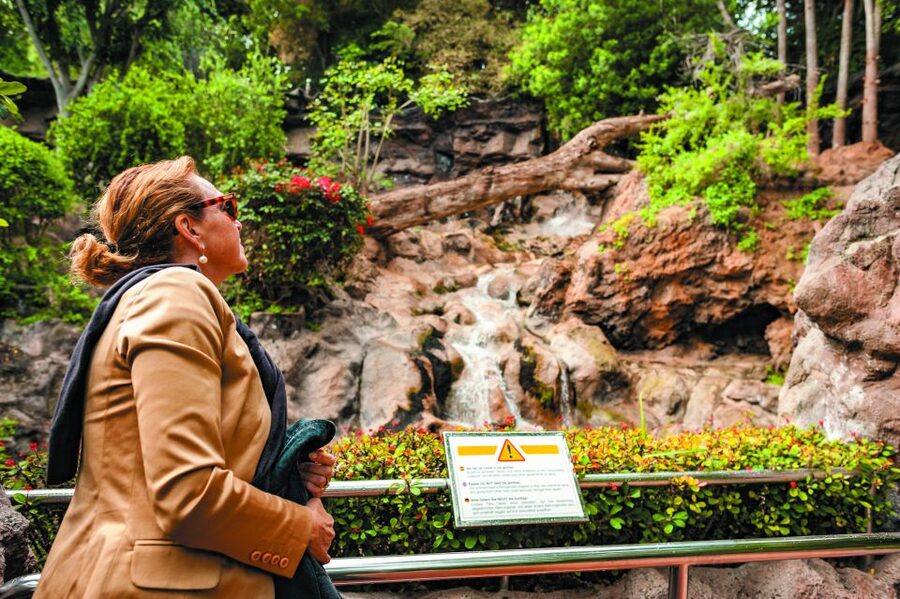 From South Tenerife: Loro Park Zoo Ticket & Hotel Transfers - Food Planning: When Lunch Is Not Included