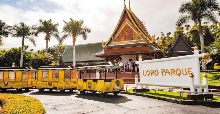 From South Tenerife: Loro Park Zoo Ticket & Hotel Transfers - Price and Value: What $75 Really Buys You