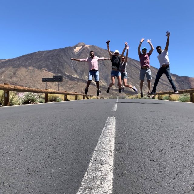 From South Tenerife: Teide National Park Tour - Key things you should know