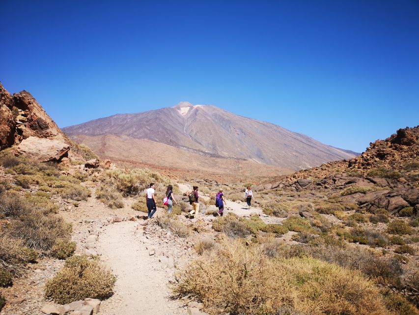 From South Tenerife: Teide National Park Tour - Pino Gordo: where the forest meets the volcanic mood