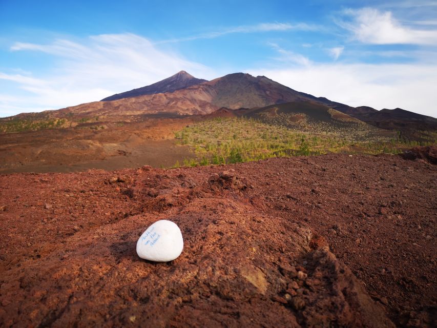 From South Tenerife: Teide National Park Tour - Mount Teide area and Teide National Park: short stops with meaning
