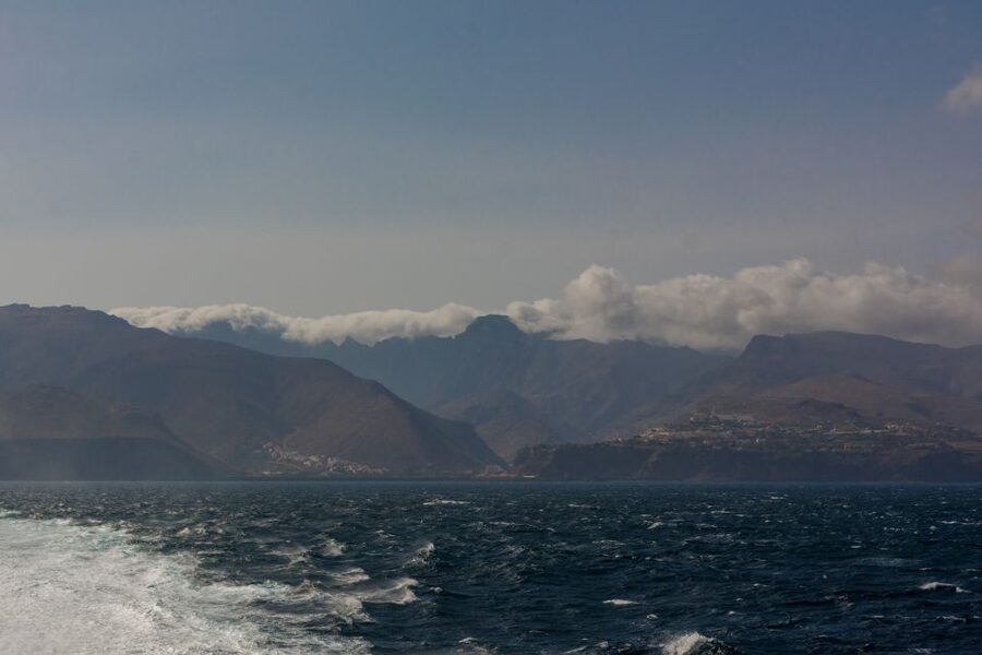 From South Tenerife: VIP Gomera Tour - Key Things You’ll Notice on This VIP Gomera Tour
