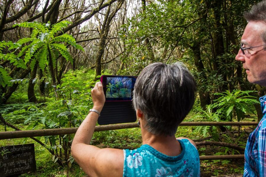 From South Tenerife: VIP Gomera Tour - The Whistling Language and the New World Bridge Story
