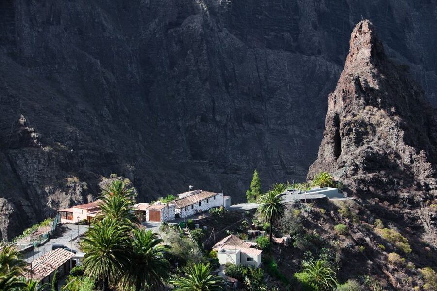 From South Tenerife: VIP Grand Tour Tenerife island - Why This VIP Full-Day Route Works So Well on Tenerife