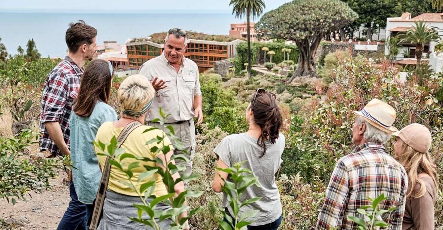 From South Tenerife: VIP Grand Tour Tenerife island - Masca and the Hamlets: The Mountain Road Side of Tenerife