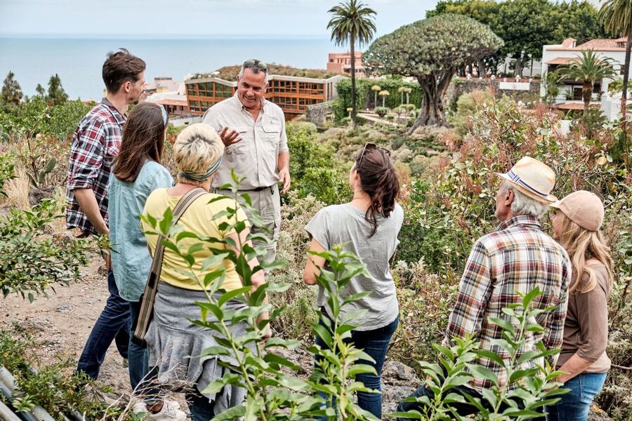 From South Tenerife: VIP Grand Tour Tenerife island - Getting Started at 08:20 in Costa Adeje (So You Avoid the Rush)