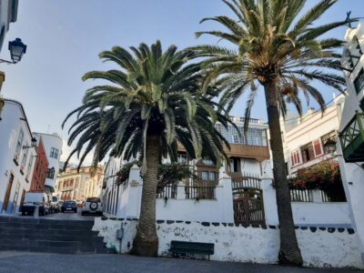Day Trip to La Palma Volcanic Landscapes