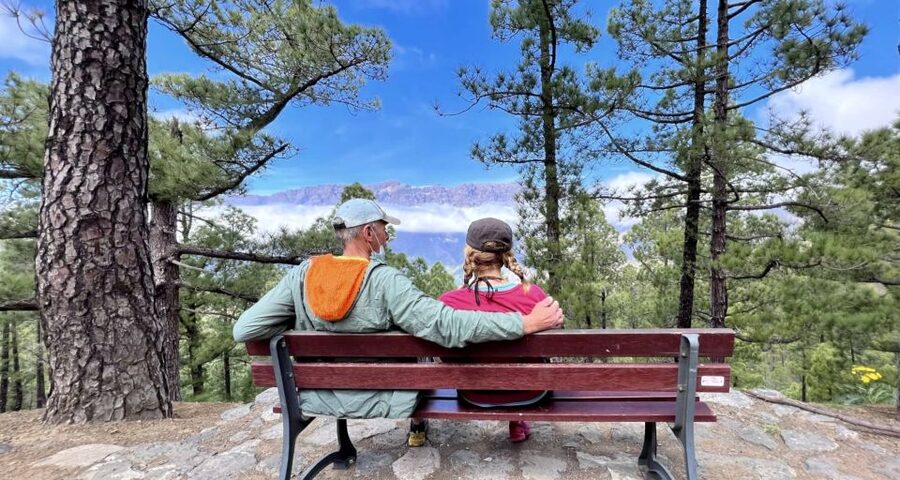 From Tenerife: Day Trip to La Palma Volcanic Landscapes - Tacande and the Tajogaite eruption area: seeing 2021 change up close