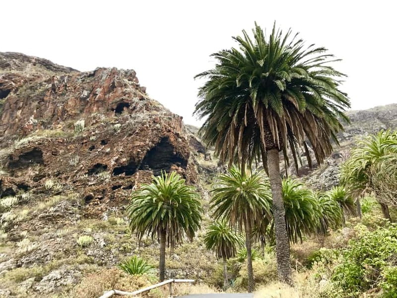 From Tenerife South: La Gomera Full-Day Trip with Transfers - Key highlights worth knowing