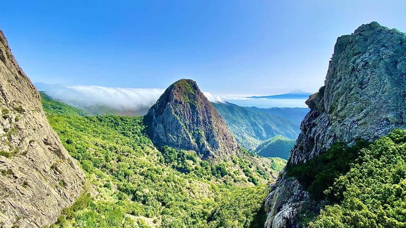 From Tenerife South: La Gomera Full-Day Trip with Transfers - Garajonay National Park, Laurisilva forest on foot