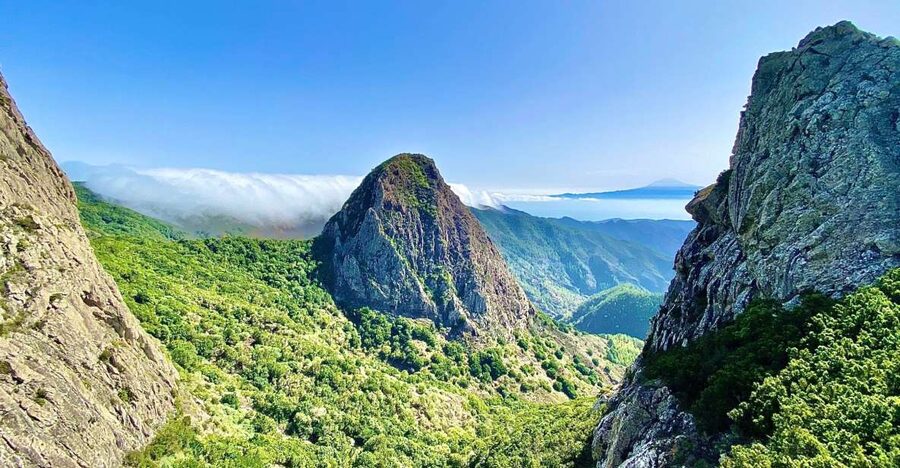 From Tenerife South: La Gomera Full-Day Trip with Transfers - Laguna Grande lunch in the laurel forest area, plus silbo gomero