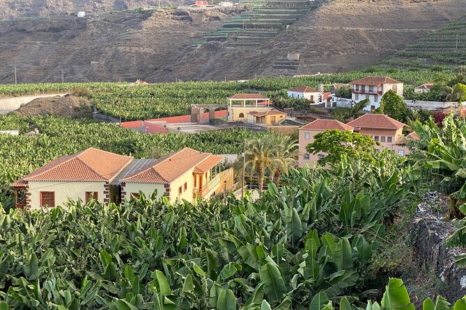 From Tenerife: Tajogaite Volcano, La Cumbrecita and Casco Antiguo - Practical tips for a comfortable, long day