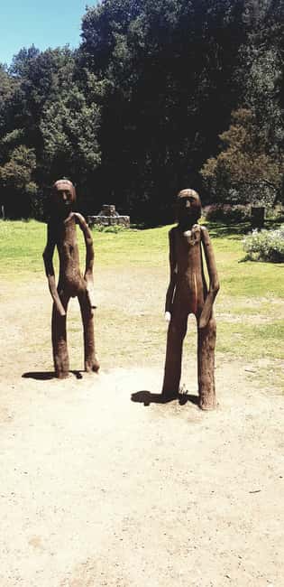 From the south of Tenerife: La Gomera full-day trip - Key things you will notice on this tour