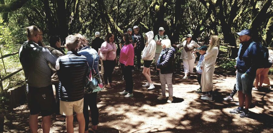 From the south of Tenerife: La Gomera full-day trip - Who should book this La Gomera full-day trip