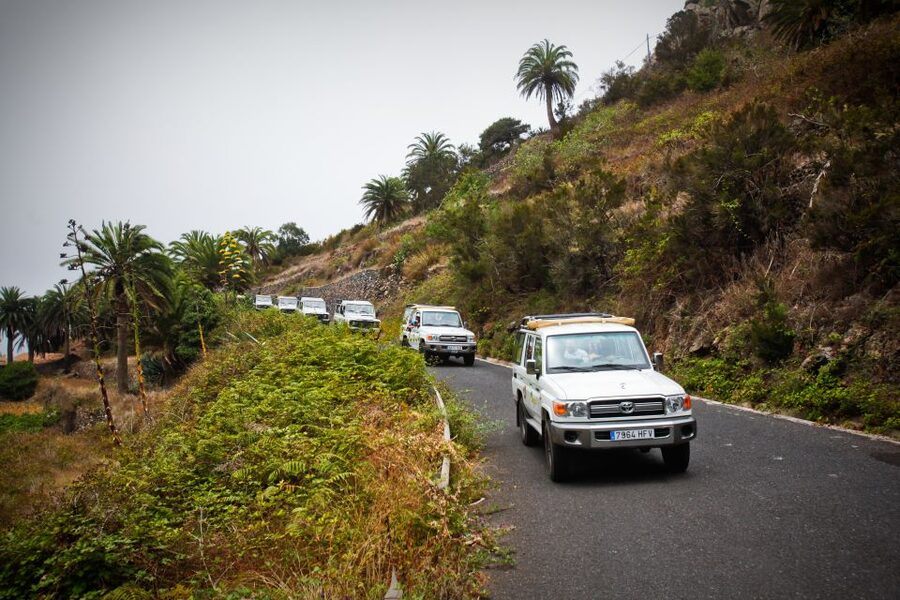 Full-Day Gomera Jeep Safari Excursion from Arona - Key Things You Should Know Before You Go