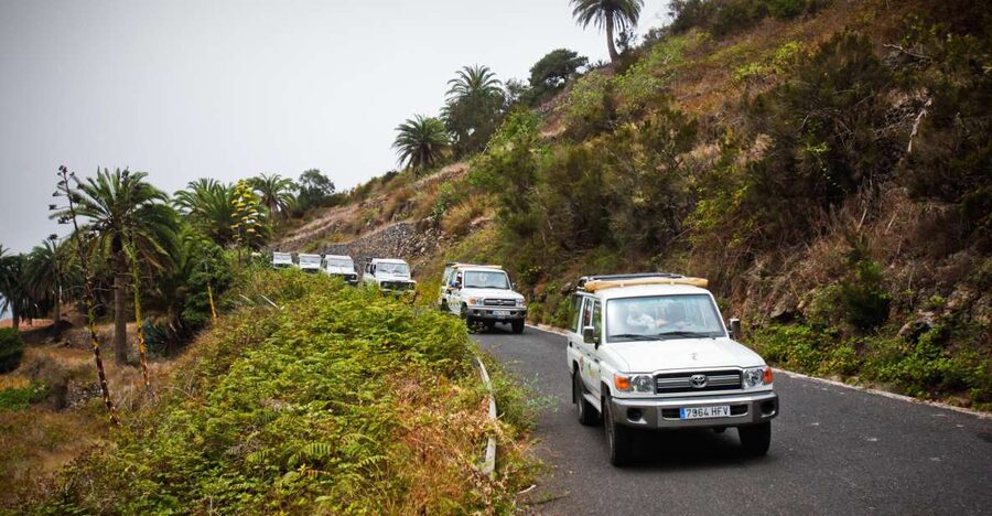 Full-Day Gomera Jeep Safari Excursion from Arona - From Tenerife to San Sebastián, the Day Starts on Water