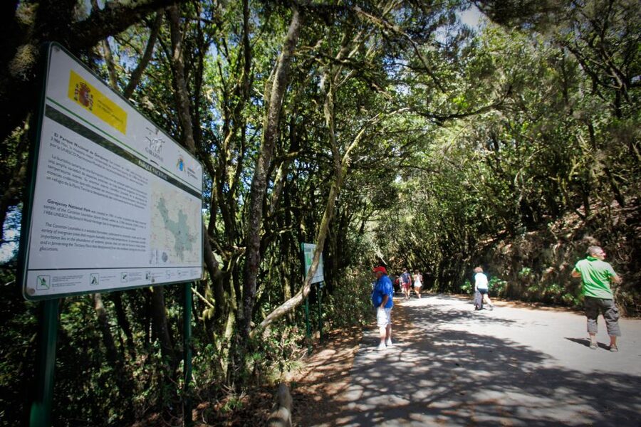 Full-Day Gomera Jeep Safari Excursion from Arona - Garajonay National Park: Where the Views Come With a Story