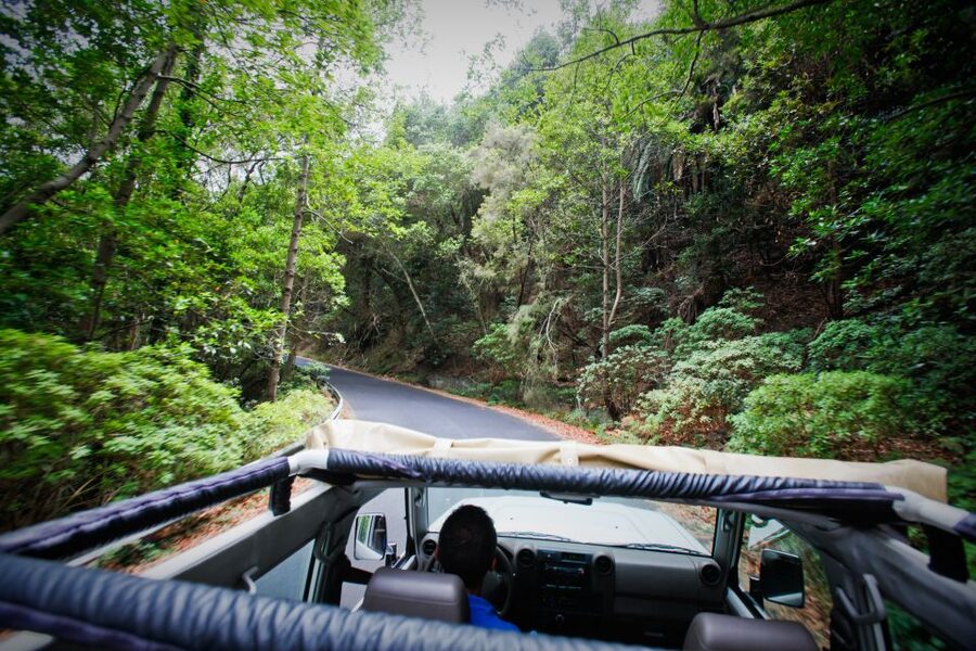Full-Day Gomera Jeep Safari Excursion from Arona - Price and Value: What $171 Per Person Is Really Paying For