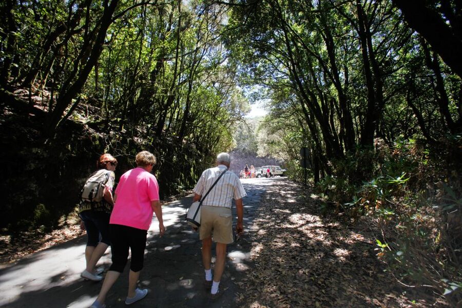 Full-Day Gomera Jeep Safari from Puerto de La Cruz - Jeep Comfort, Road Reality, and Who Should Skip This