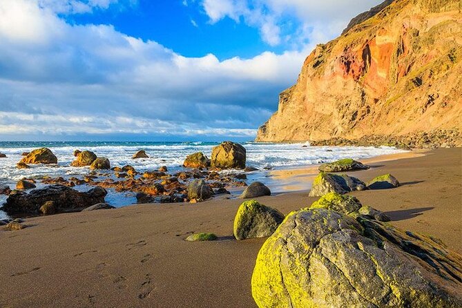 Full Day Guided Tour to La Gomera from Tenerife - The day’s flow, group size, and the language issue