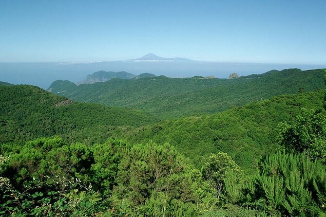 Full Day Guided Tour to La Gomera from Tenerife - Lunch and what’s included for real value
