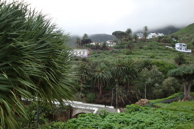 Full Day Tour of Santa Cruz and San Cristóbal de La Laguna - Key points before you go