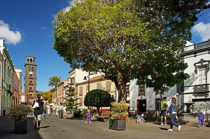 Full Day Tour of Santa Cruz and San Cristóbal de La Laguna - A Sampler Day in Northern Tenerife, from Port City to Old Town