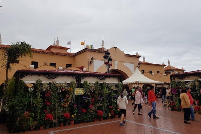 Full Day Tour of Santa Cruz and San Cristóbal de La Laguna - Timing, Free Time, and the Lunch Question