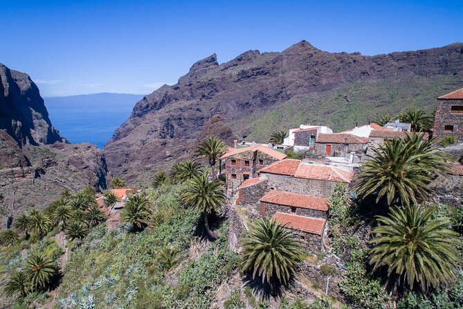 Full-Day Vip Masca and Teide Tour From South Tenerife - VIP price and value: what $102.91 covers, and what you need to budget