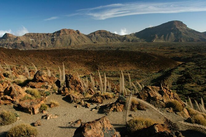 Get to know the Teide National Park and the north of Tenerife on a private tour - What you can expect in plain terms