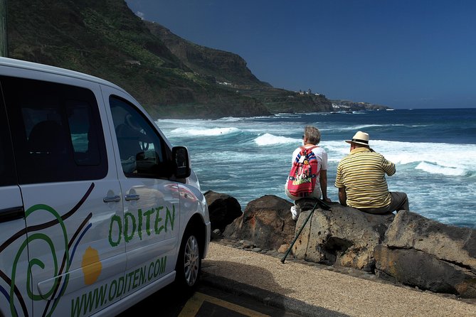 Get to know the Teide National Park and the north of Tenerife on a private tour - Teide National Park time: about 2 hours with a complete feel