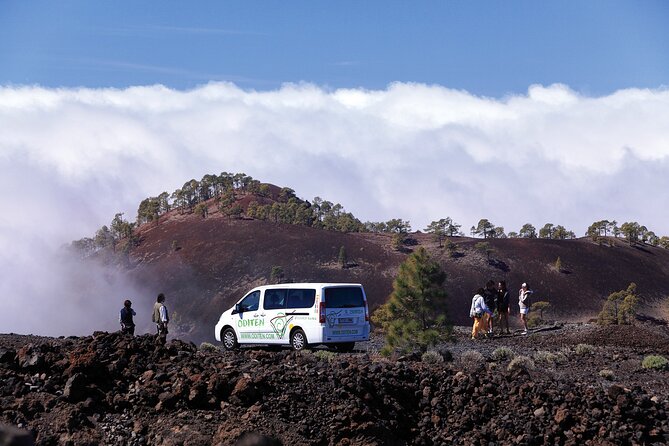 Get to know the Teide National Park and the south of Tenerife on a private tour - Teide National Park stop: flexible walking on a usually circular route